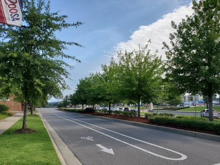 University Boulevard Corridor